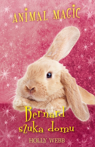 Animal Magic. Bernard szuka domu